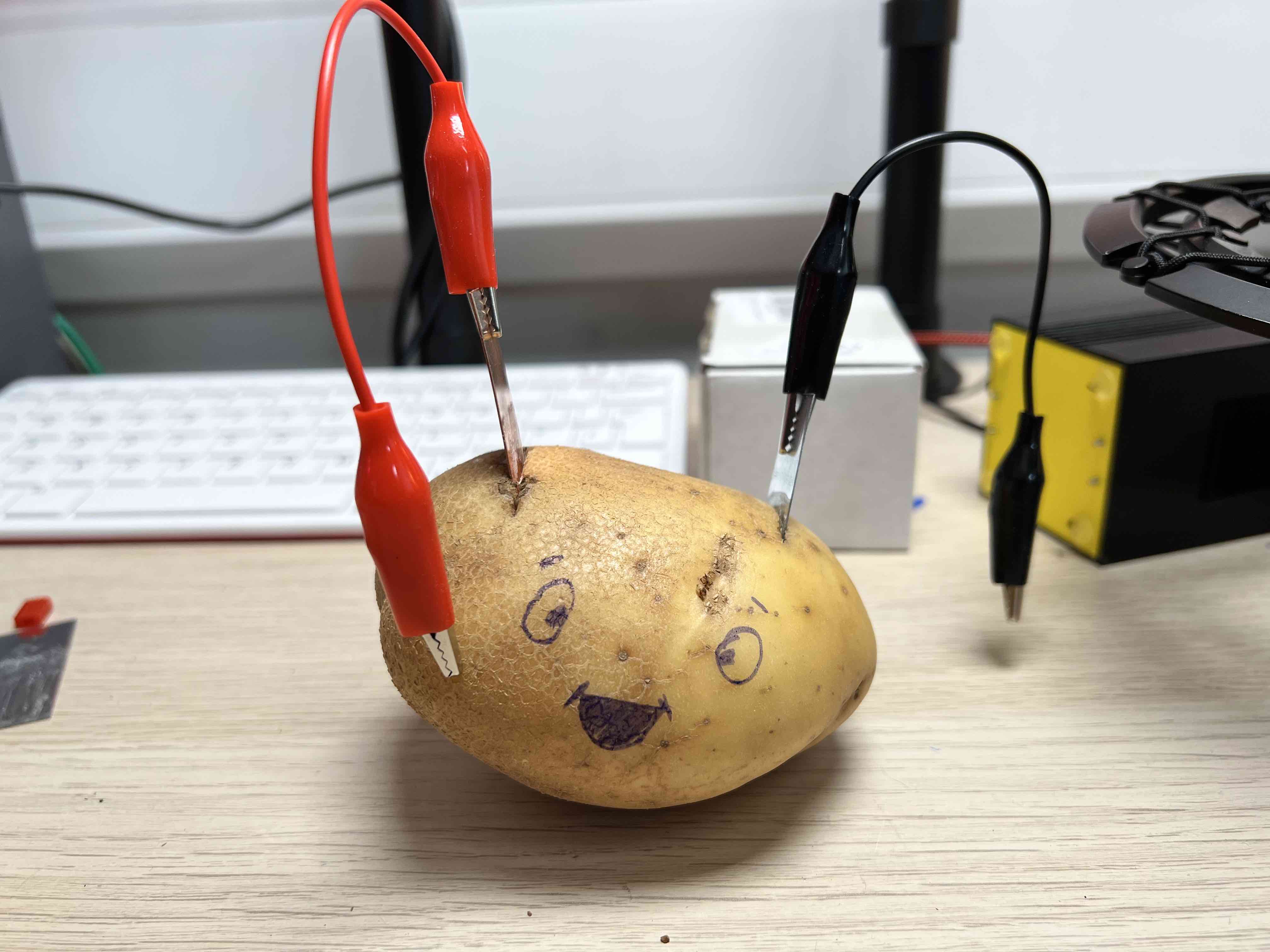 Potato wired up with 2 electrodes