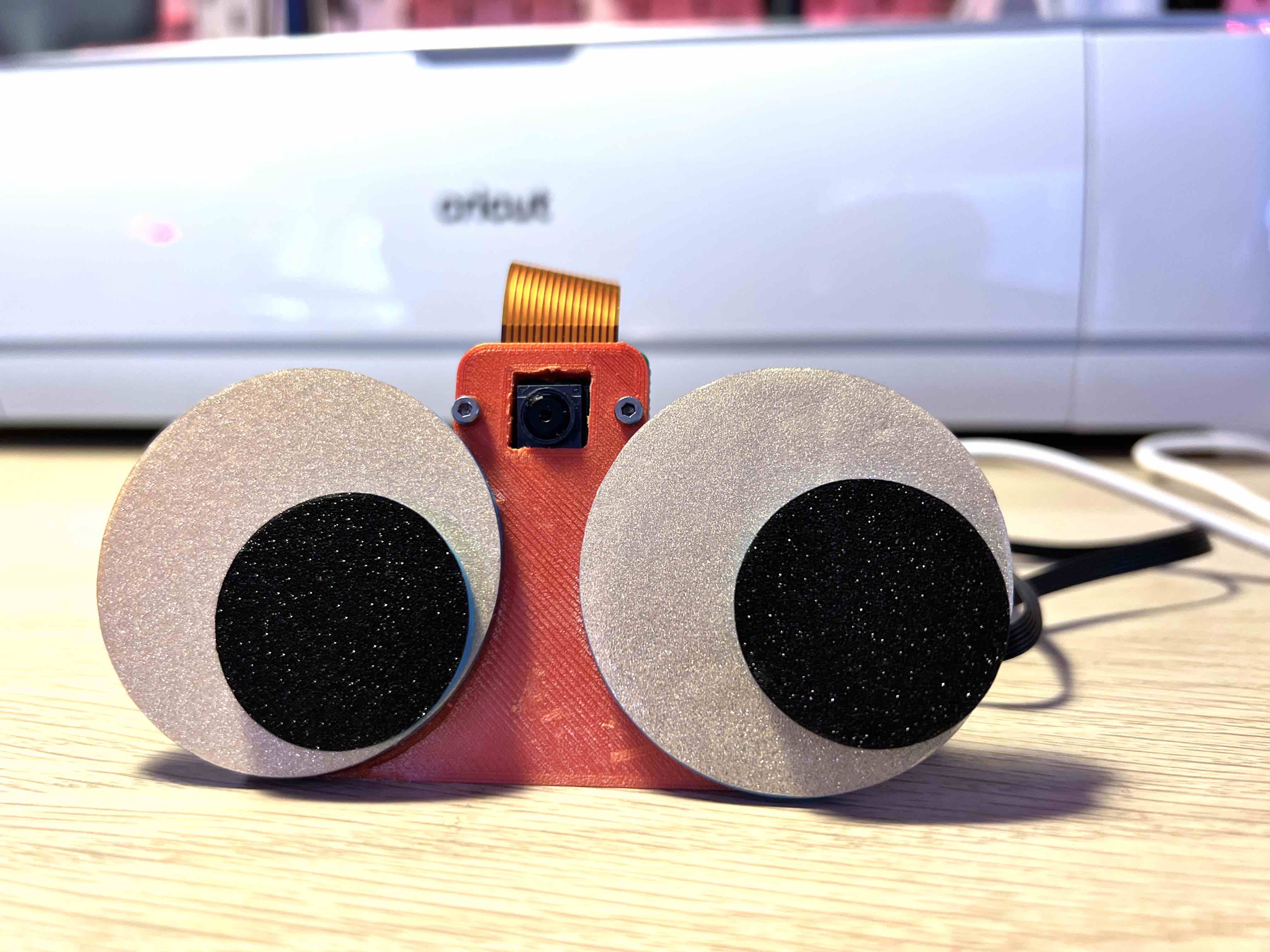 Cover image for Googley Googley Eyes